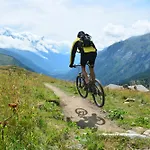Grand Roc - Ancolies 213 - Happy Chamonix
