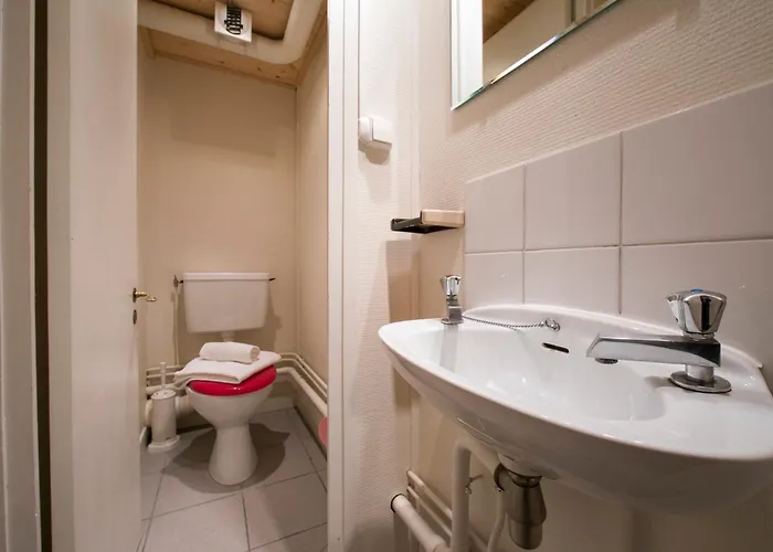 Grand Roc - Ancolies 213 - Happy