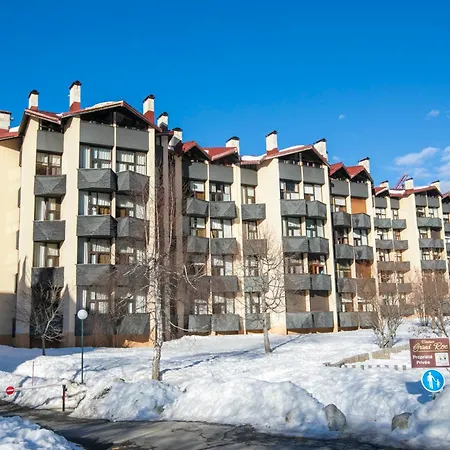 Grand Roc - Ancolies 213 - Happy 霞慕尼