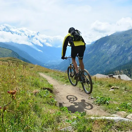 Grand Roc - Ancolies 213 - Happy Chamonix