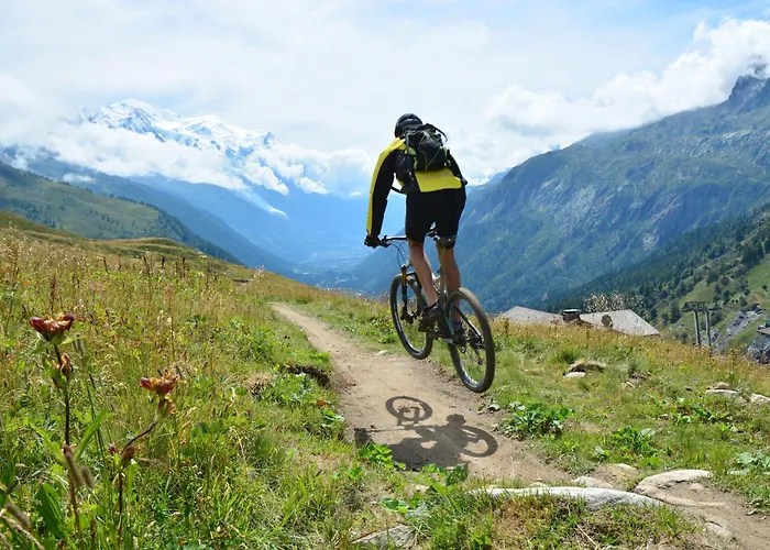 Grand Roc - Ancolies 213 - Happy Chamonix